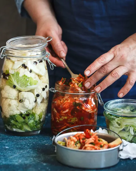 Alimentos fermentados